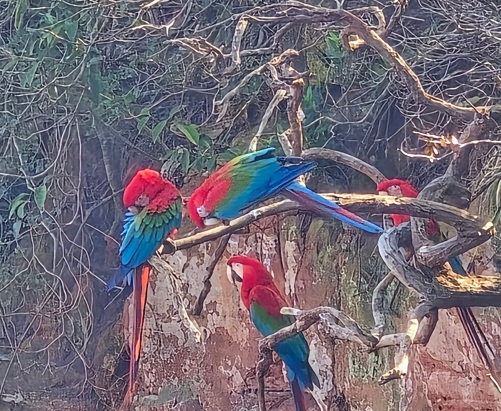 Buraco das Araras Ecoturismo-雅尔丁必去景点