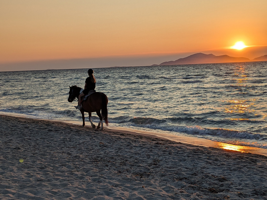 Erika's Horse Farm Kos-Marmari必去景点