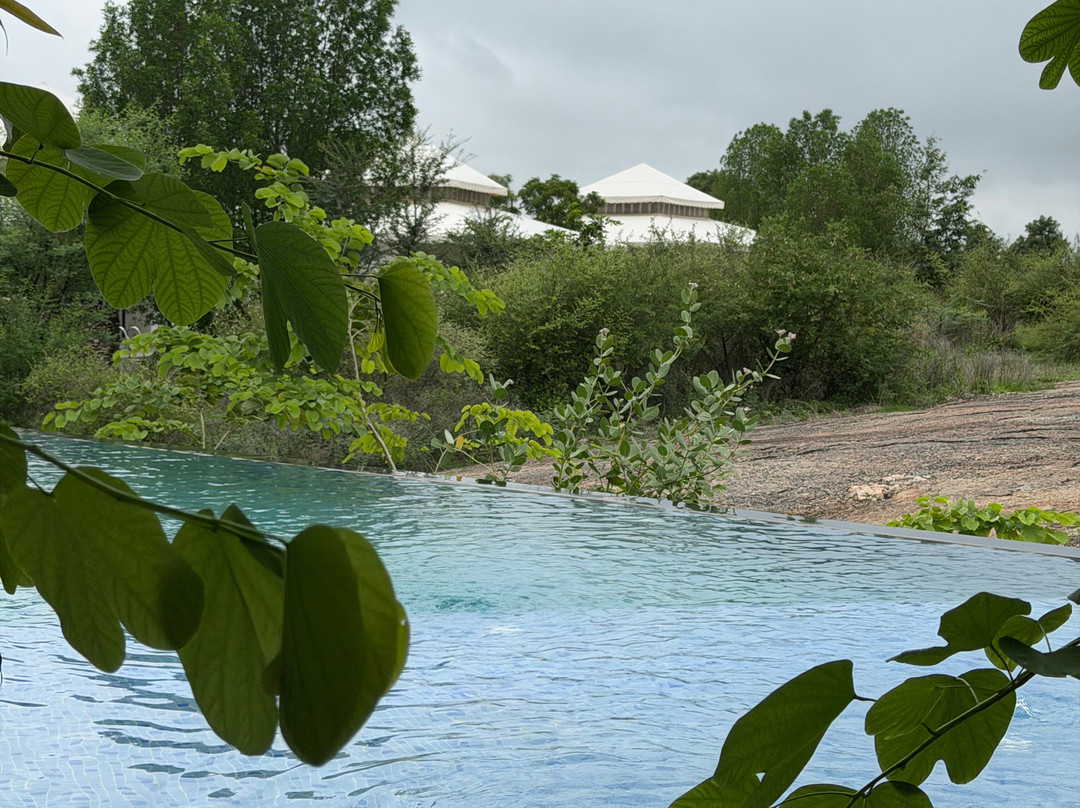 Brij Pola, Jawai - Luxury Jungle Camp with Private Pools主图