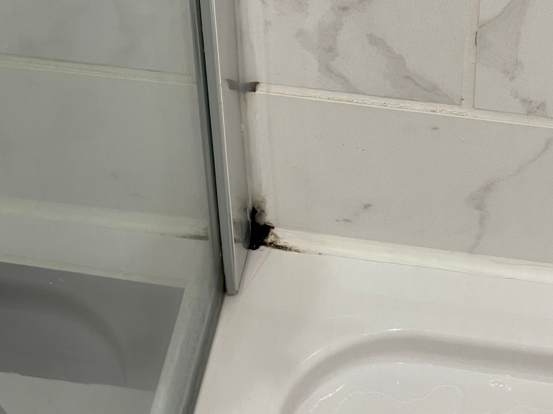 布克斯顿新月主图