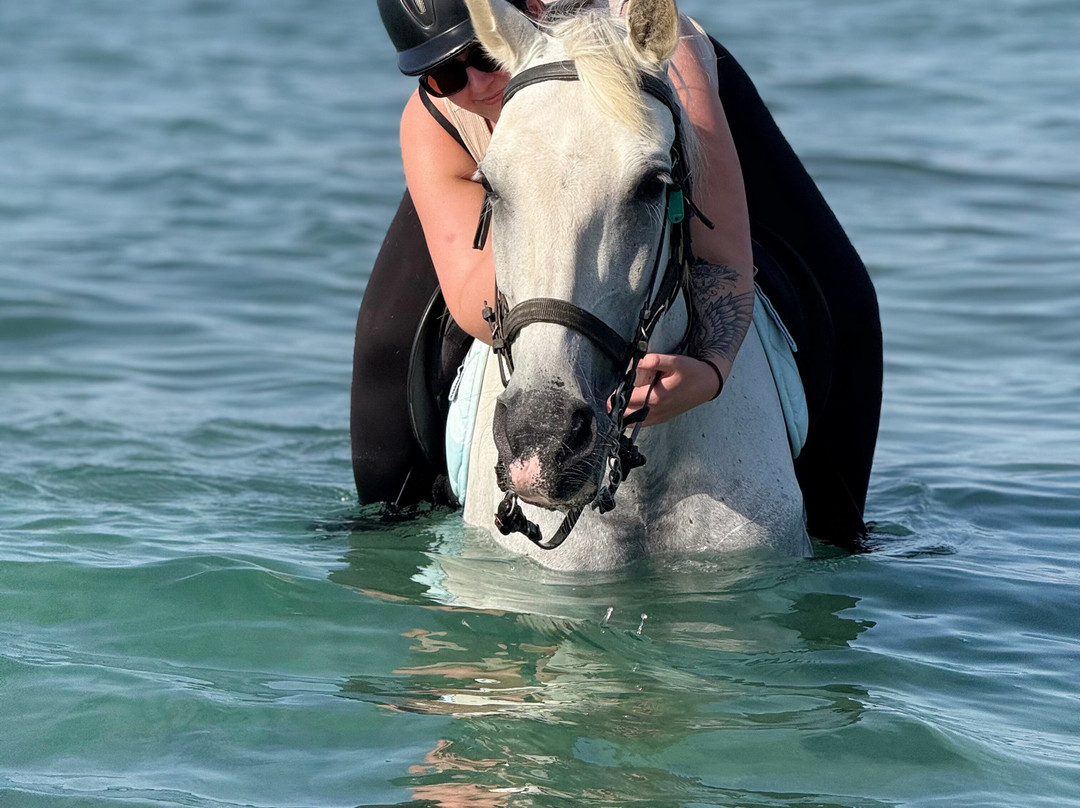 Erika's Horse Farm Kos-Marmari必去景点