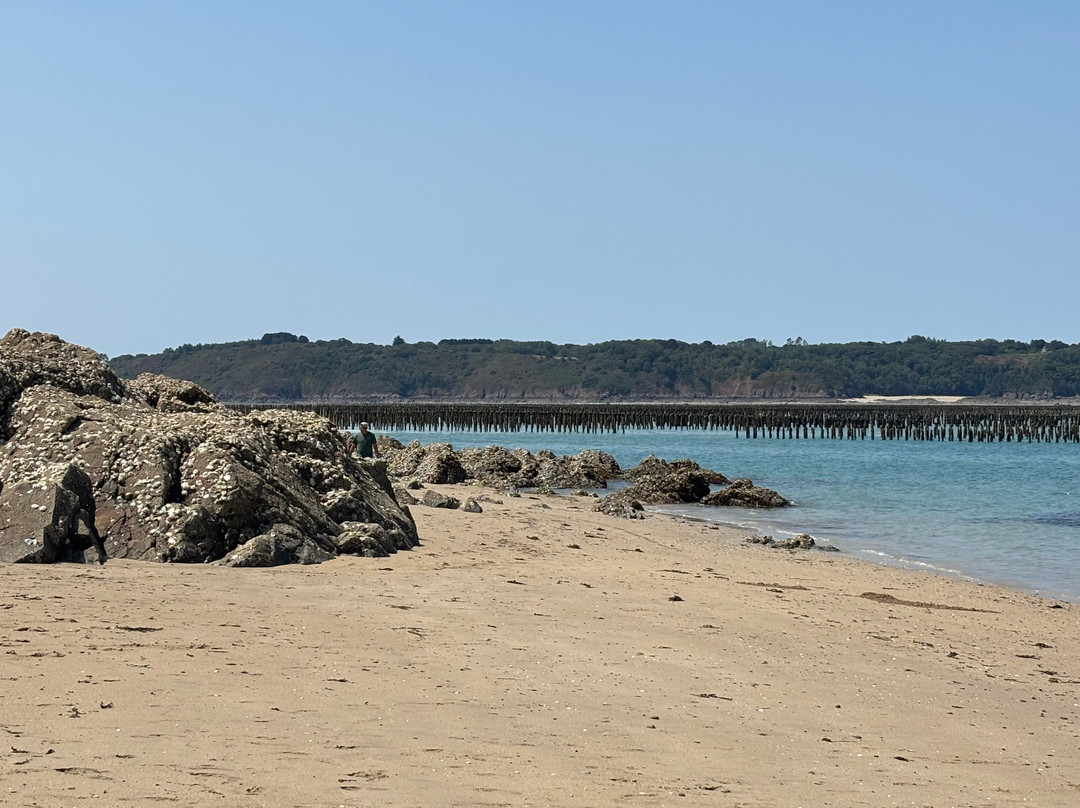 Plage de la Fresnaye-Saint-Cast le Guildo必去景点