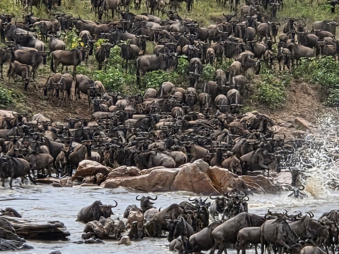 Furahia Tanzania Safari & Trekking Ltd-阿鲁沙必去景点