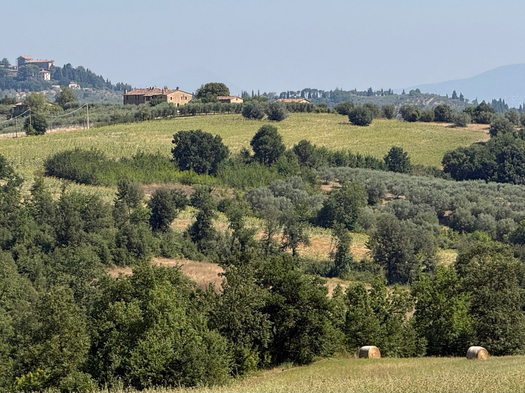 Casale di Buccole主图