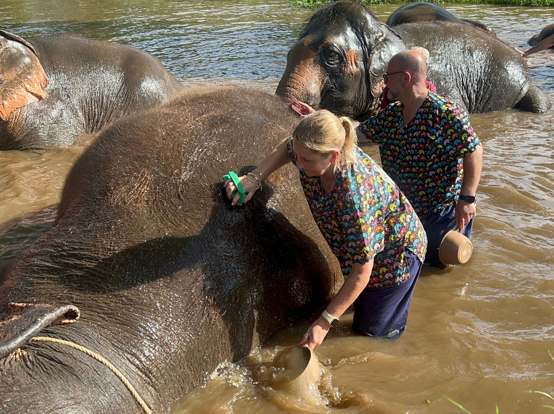 Kanta Elephant Sanctuary-清迈必去景点