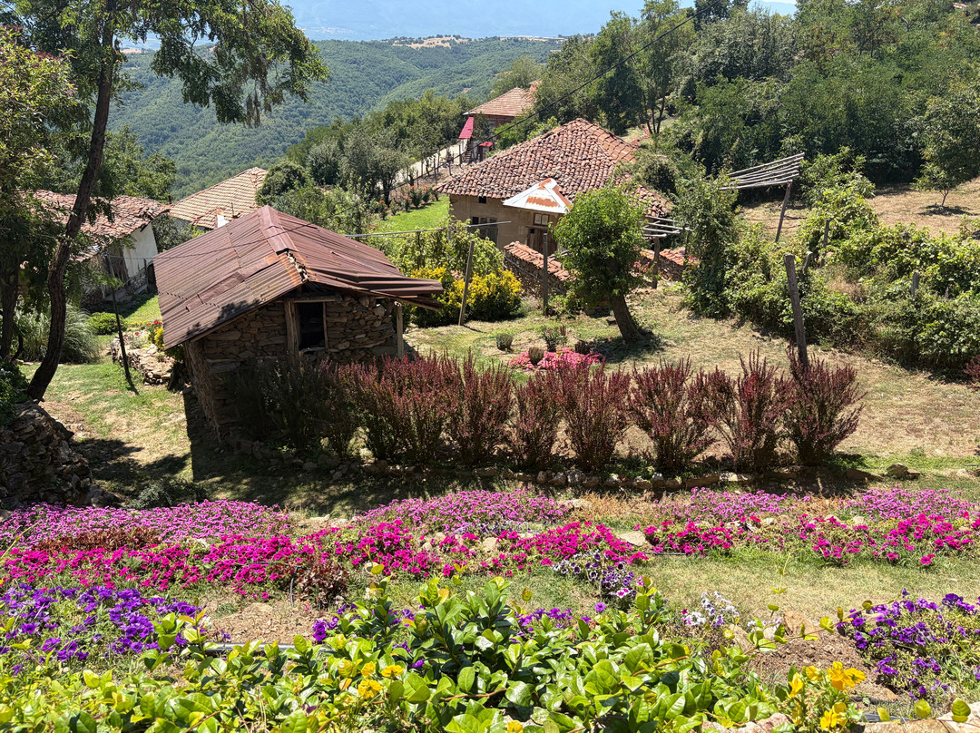 Ethno Village Dolene-Petrich必去景点