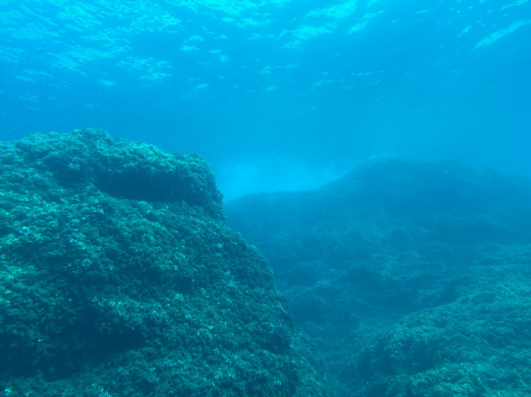 First Class Divers-Porto Petro必去景点