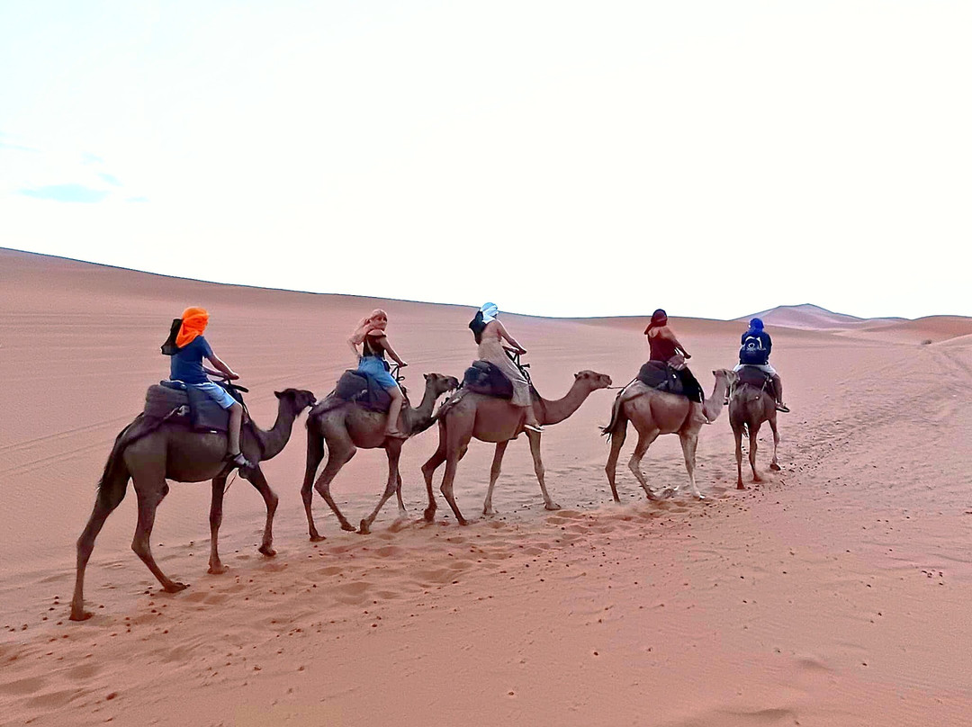 Voy a Marruecos-马拉喀什必去景点