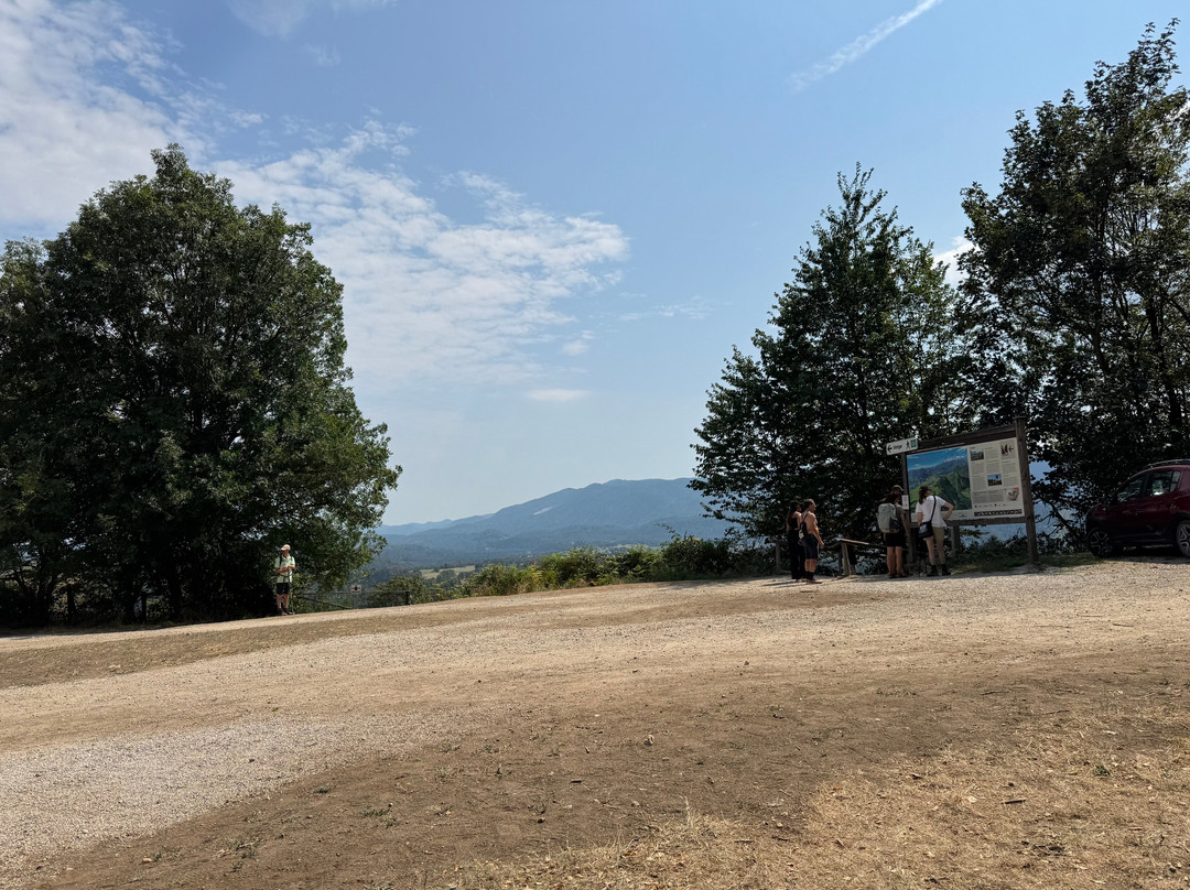 Gobarsko društvo Jurček