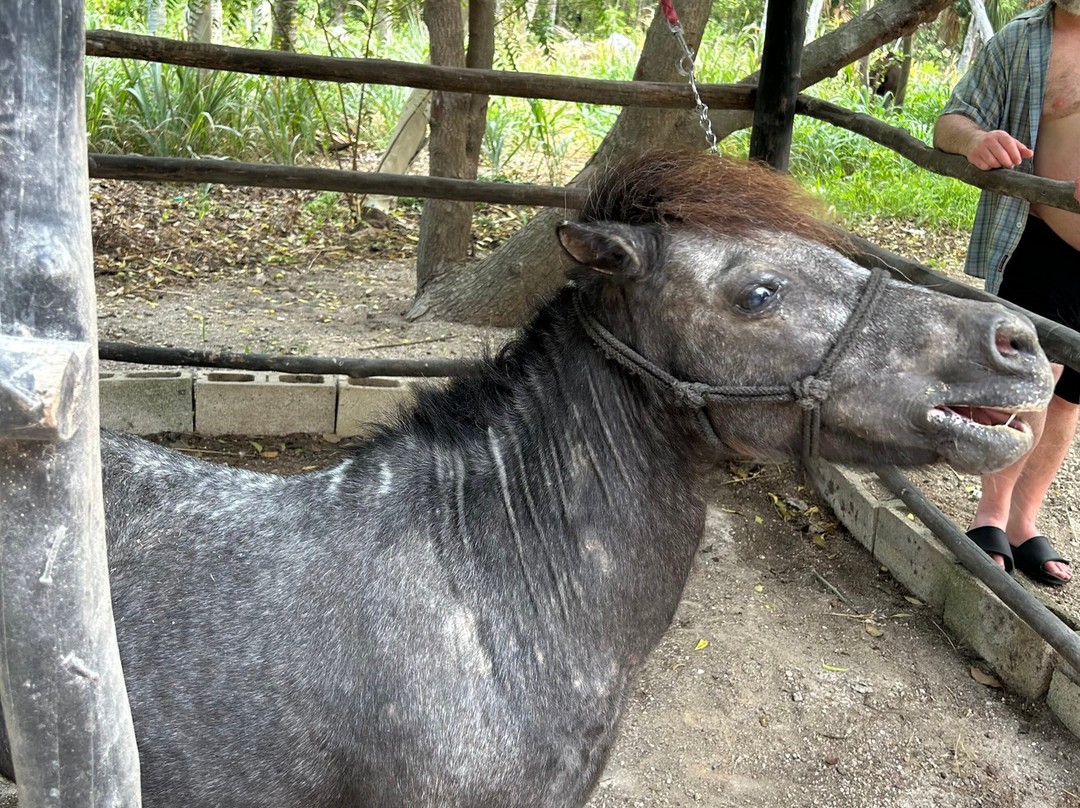 Rancho Ecoturístico Bonanza-从莫雷洛斯港必去景点