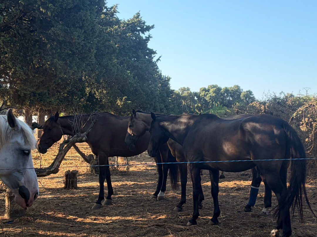 Aux Poneys d Eden-Canale-di-Verde必去景点