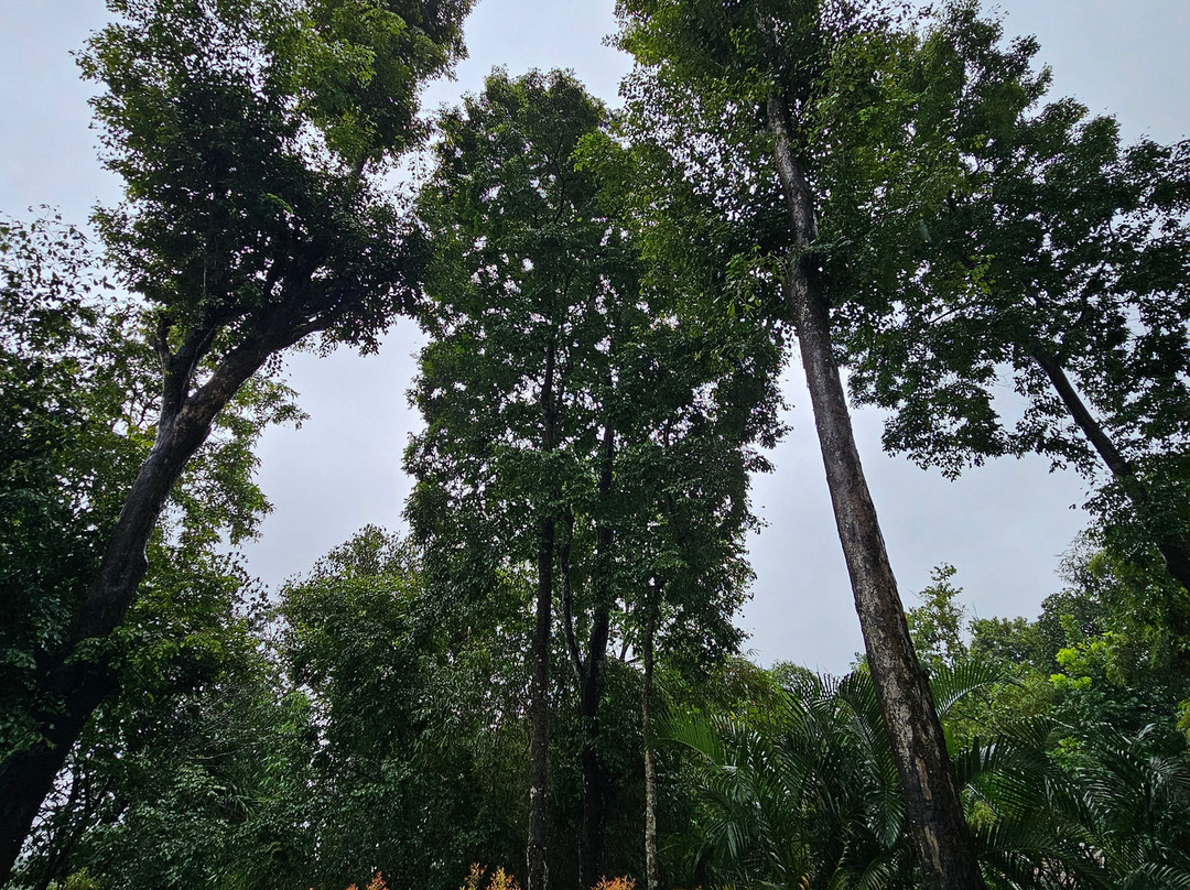 Crystal Kuruva Nature Resort & Spa主图