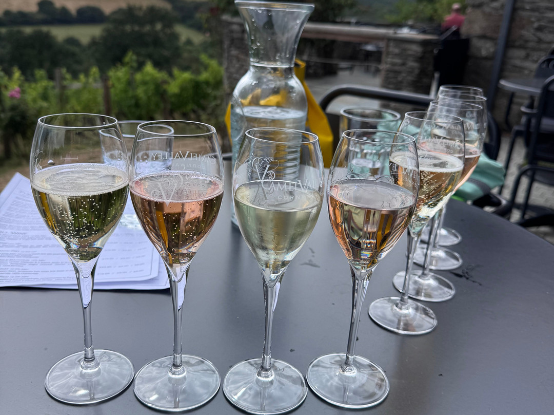 Camel Valley Vineyard-博德明必去景点