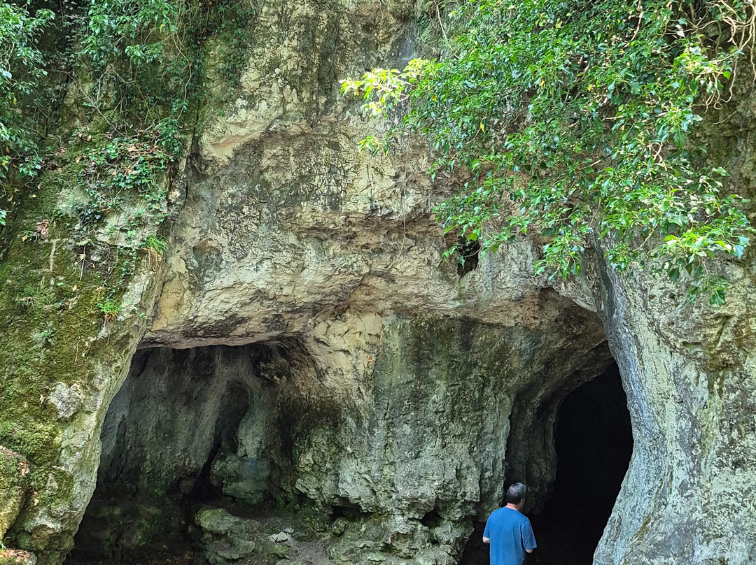 King Arthur's Cave-Symonds Yat必去景点