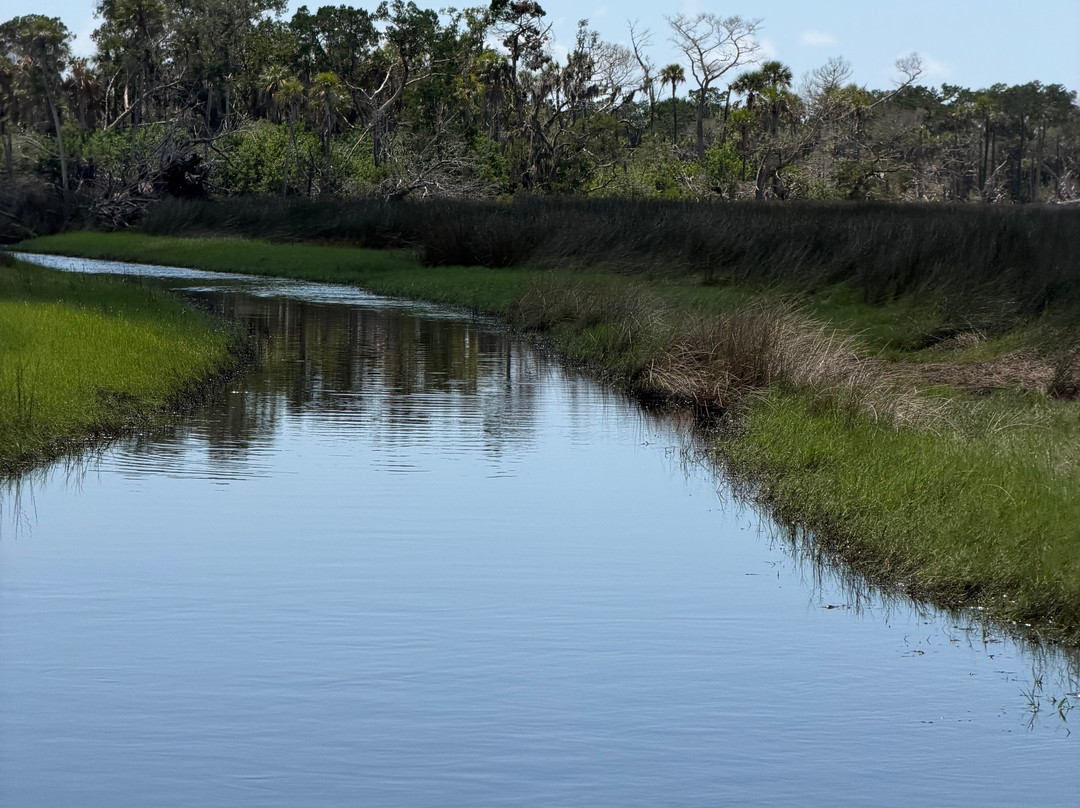 Homosassa Springs Marina-Homosassa必去景点