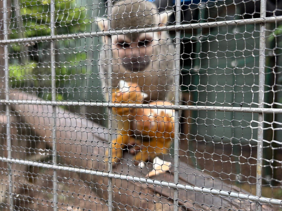 Gentleshaw Birds of Prey and Wildlife Centre-斯塔福德必去景点