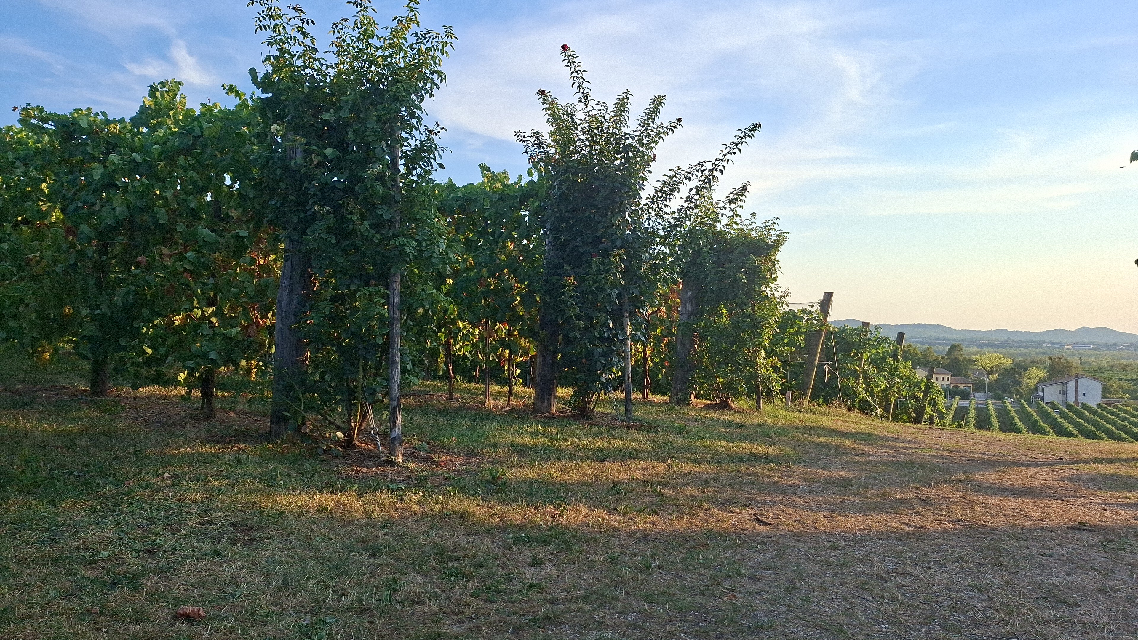 Agriturismo Riva de Milan-旅行者