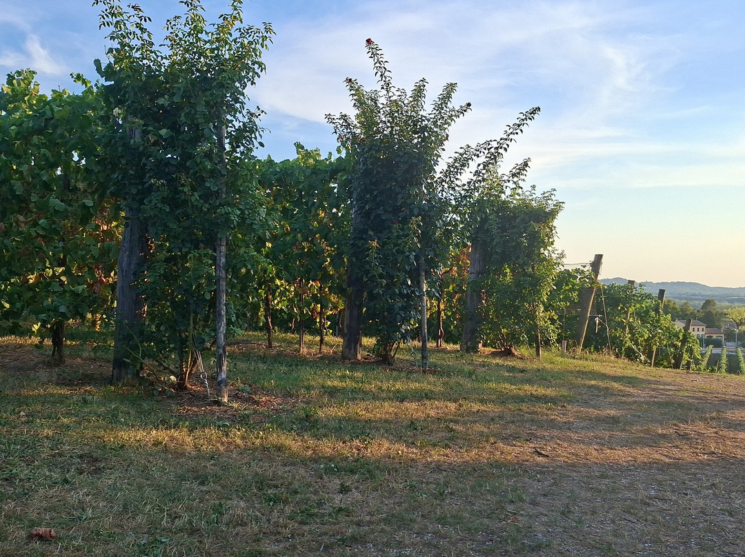 Agriturismo Riva de Milan主图