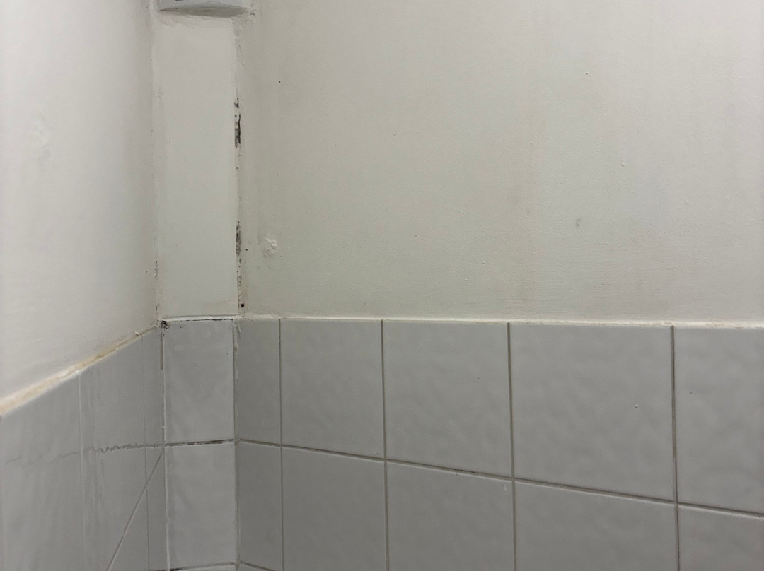 切斯特豪斯酒店主图