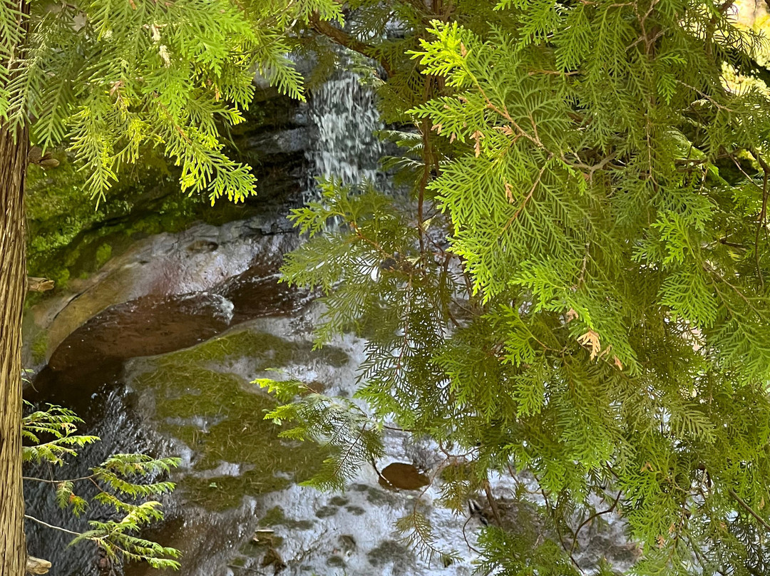 Twin Falls Park-Port Wing必去景点