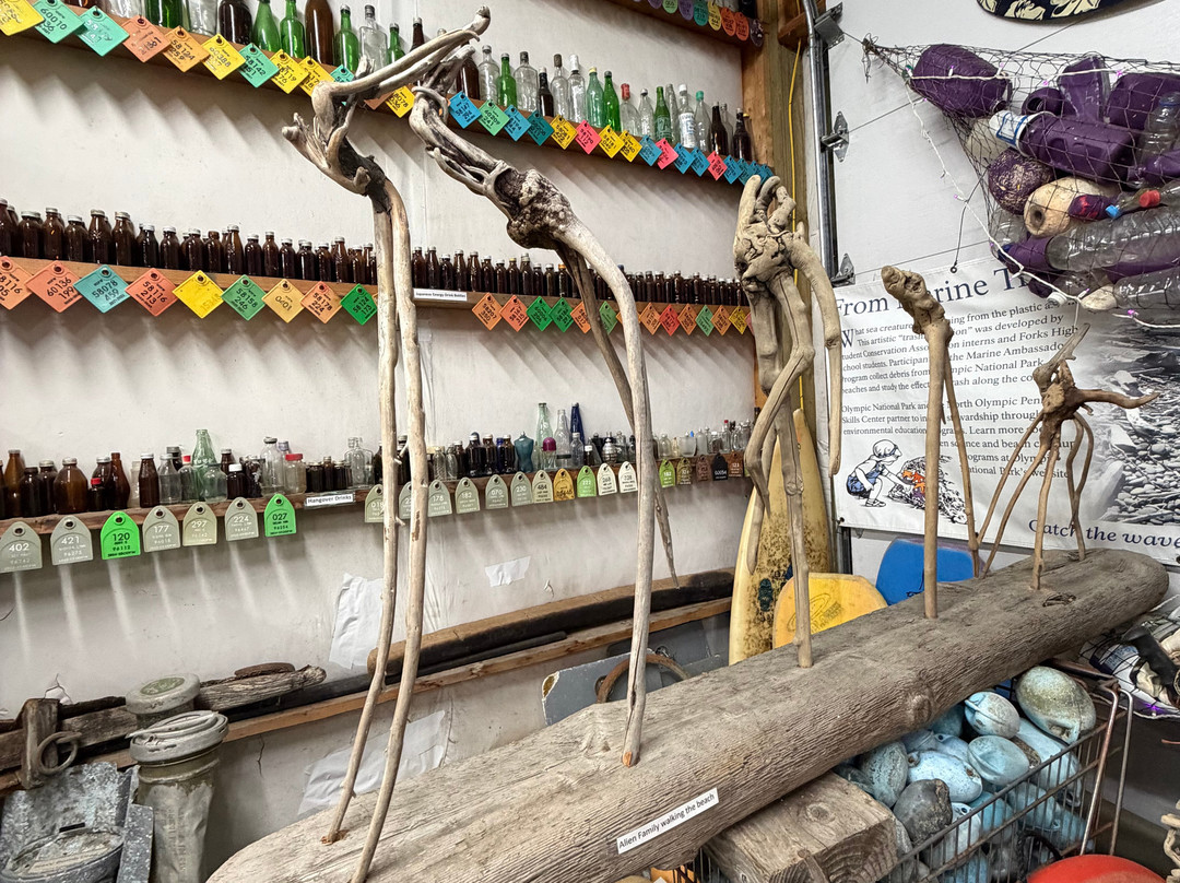 John's Beachcombing Museum-福克斯必去景点