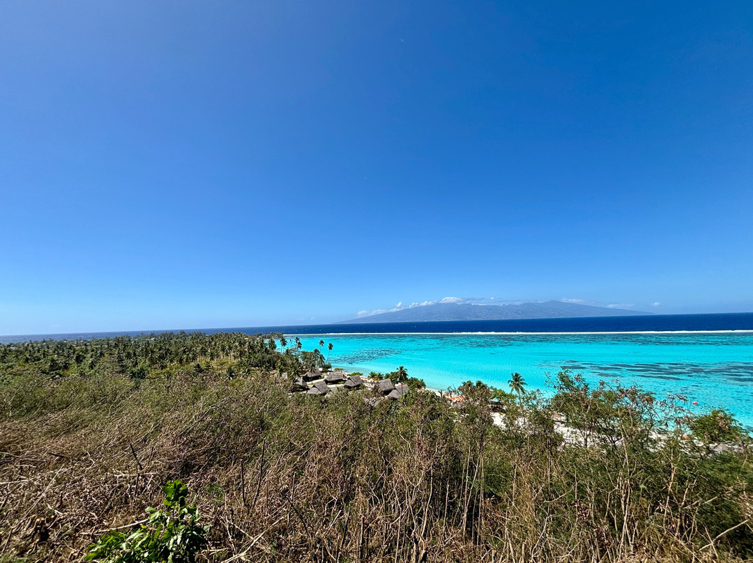 Plage Publique de Temae-莫雷阿岛必去景点