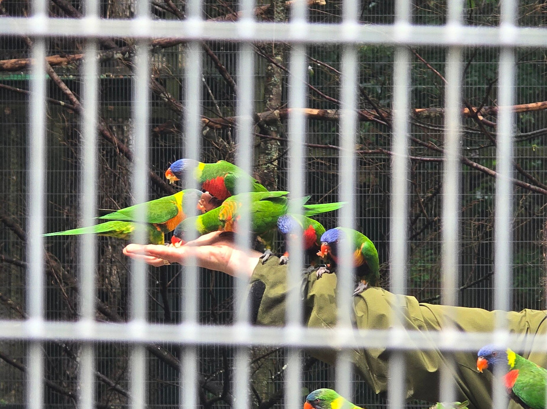 Claws 'N' Paws Wild Animal Park-Lake Ariel必去景点