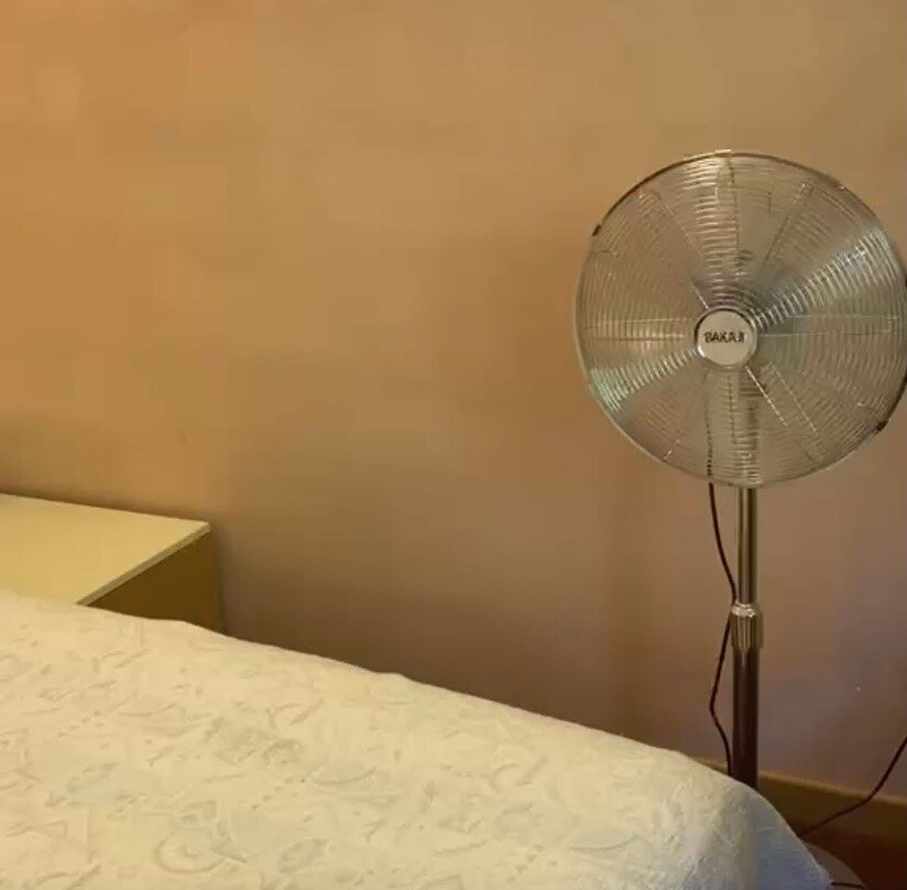 Le Due Magnolie主图