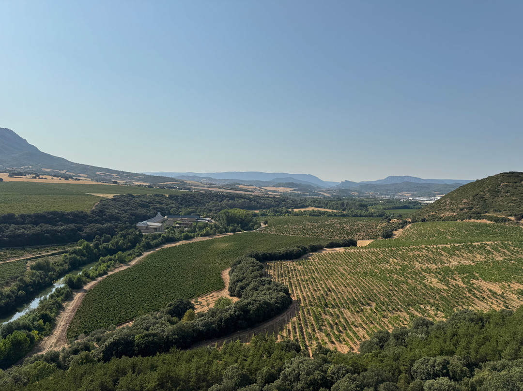 Bodega Señorío de Arínzano-Aberin必去景点