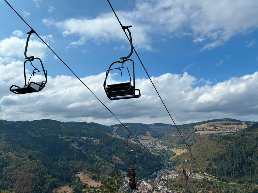 Hasenhorn Coaster Todtnau-托特瑙必去景点