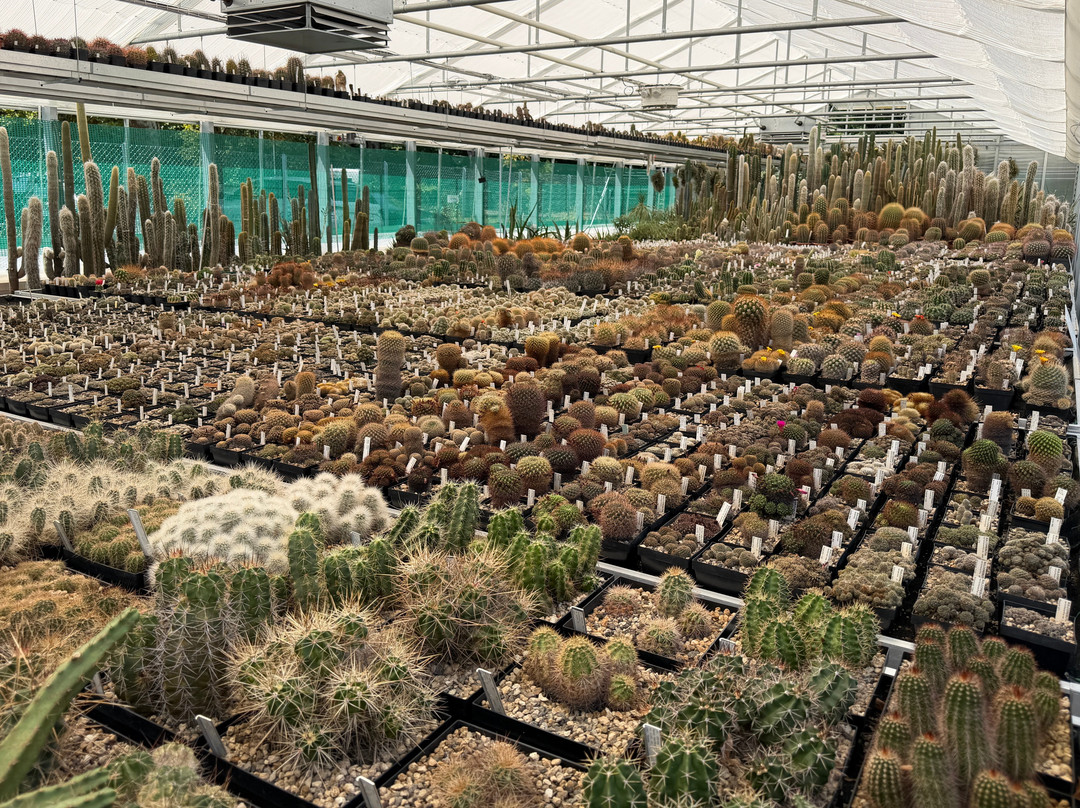 Zurich Succulent Plant Collection-苏黎世必去景点