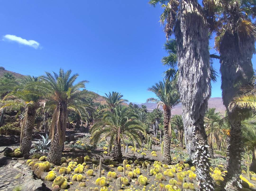 Cactualdea Park-San Nicolas必去景点