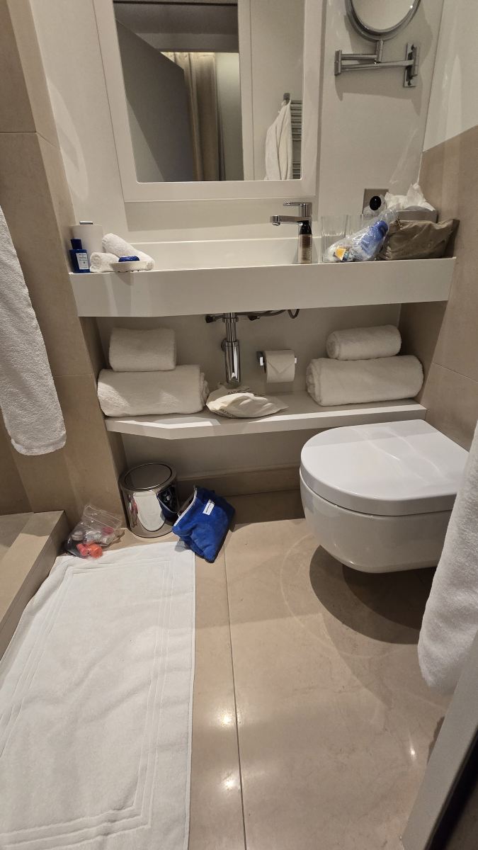 罗切斯布兰切斯酒店-旅行者