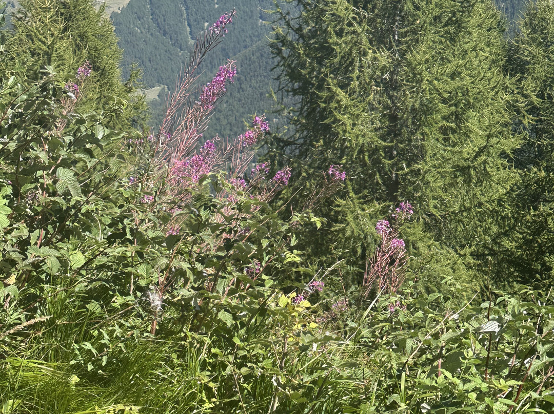 Evolène Région Tourisme-Evolene必去景点