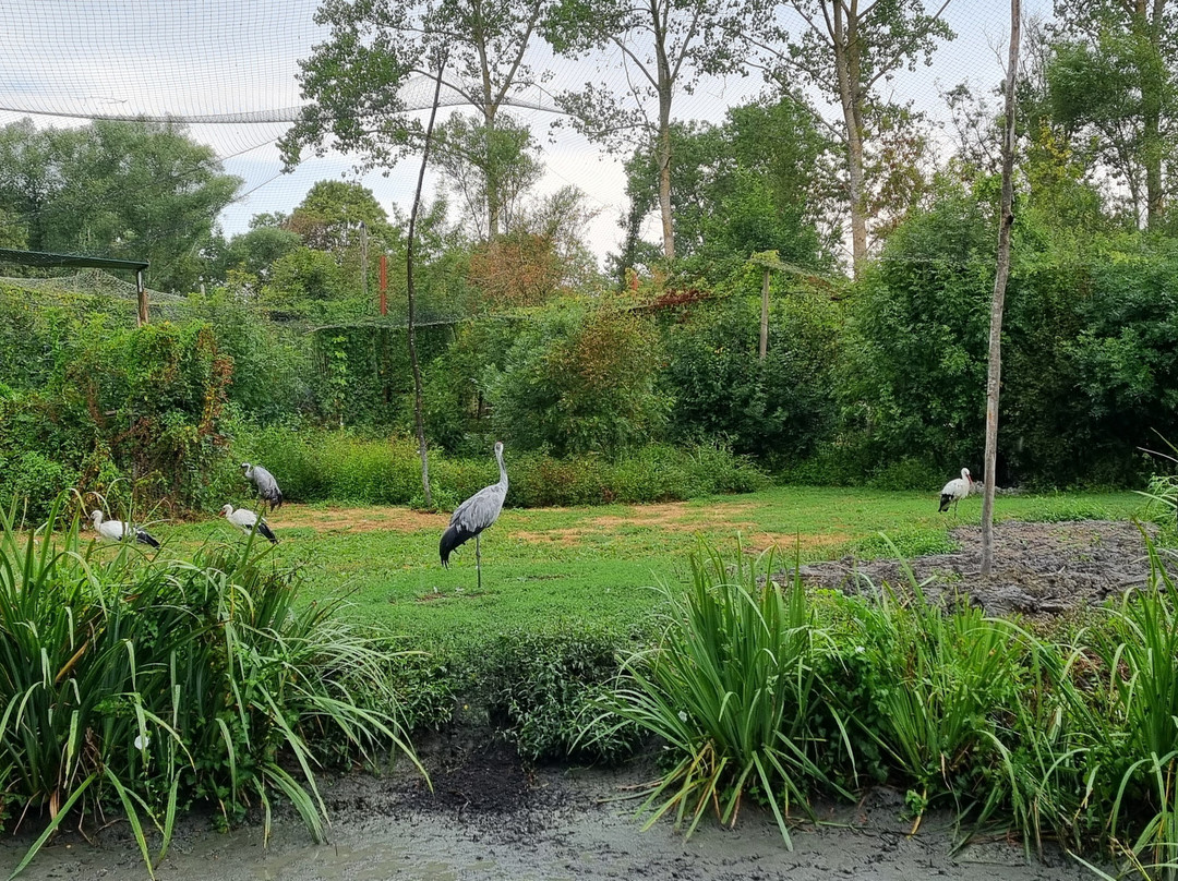 Oiseaux du Marais Poitevin-Saint-Hilaire-la-Palud必去景点