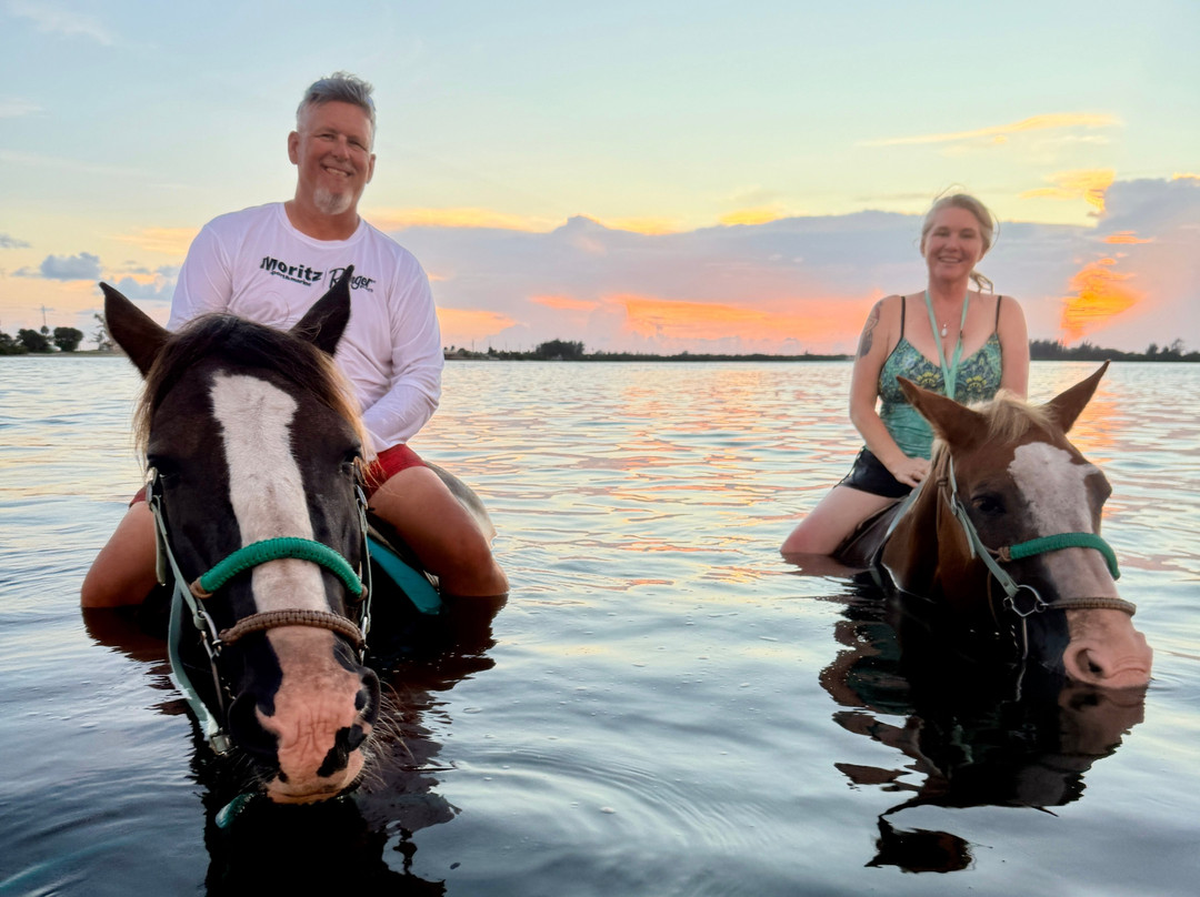 Florida Beach Horses-布雷登顿必去景点