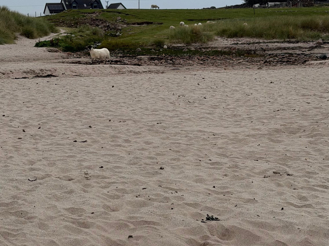 Mellon Udrigle Beach-Laide必去景点
