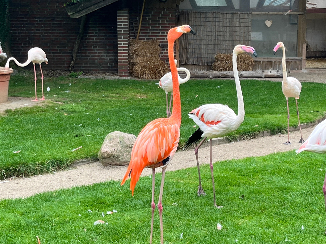 Tierpark Tinnum-Tinnum必去景点