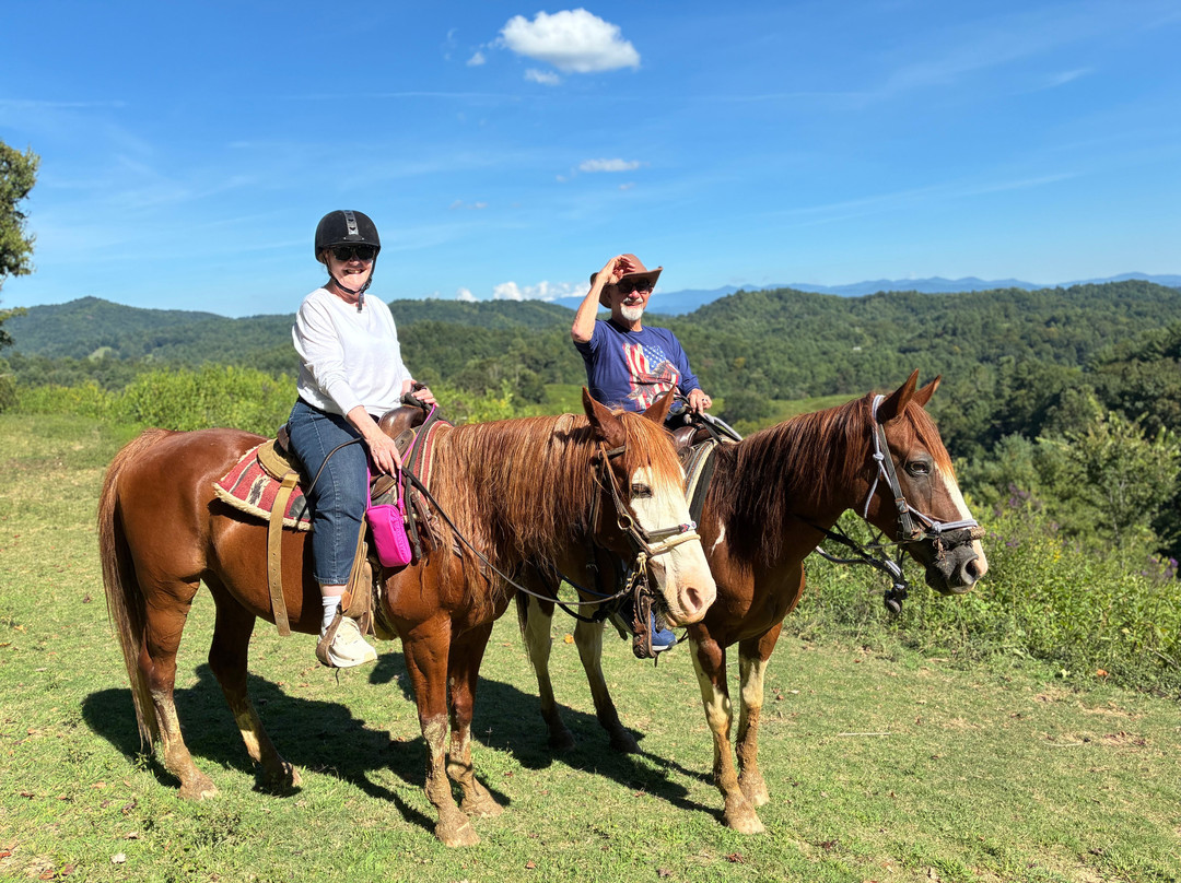Smoky Mountain Trail Rides and Bison Farm-Marshall必去景点
