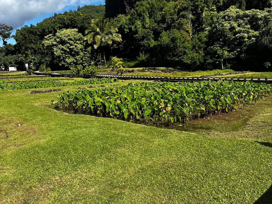 卡拉劳步道-可爱岛必去景点