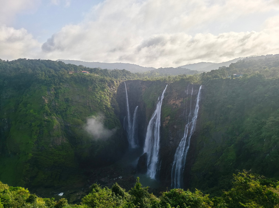 Jog Falls-Shimoga必去景点