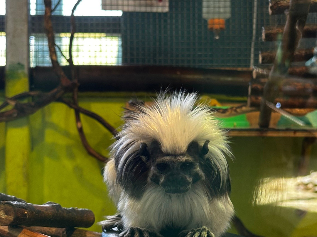 Belgorod Zoo-Belgorod必去景点