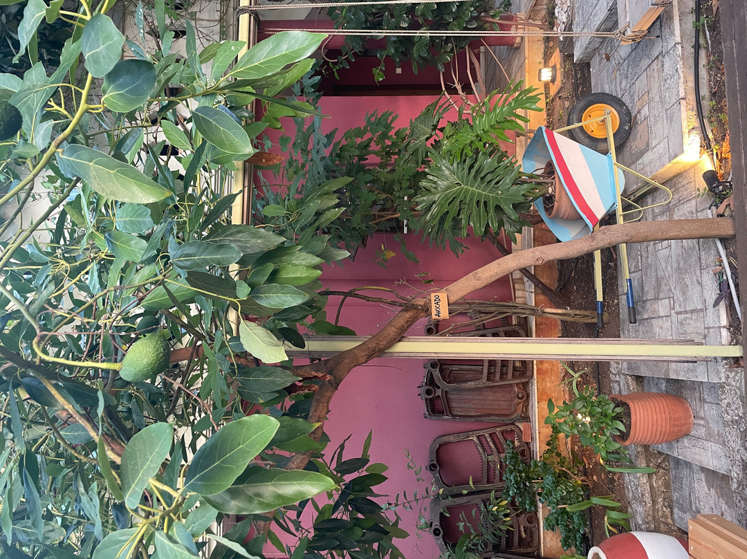 Villa Rossa主图