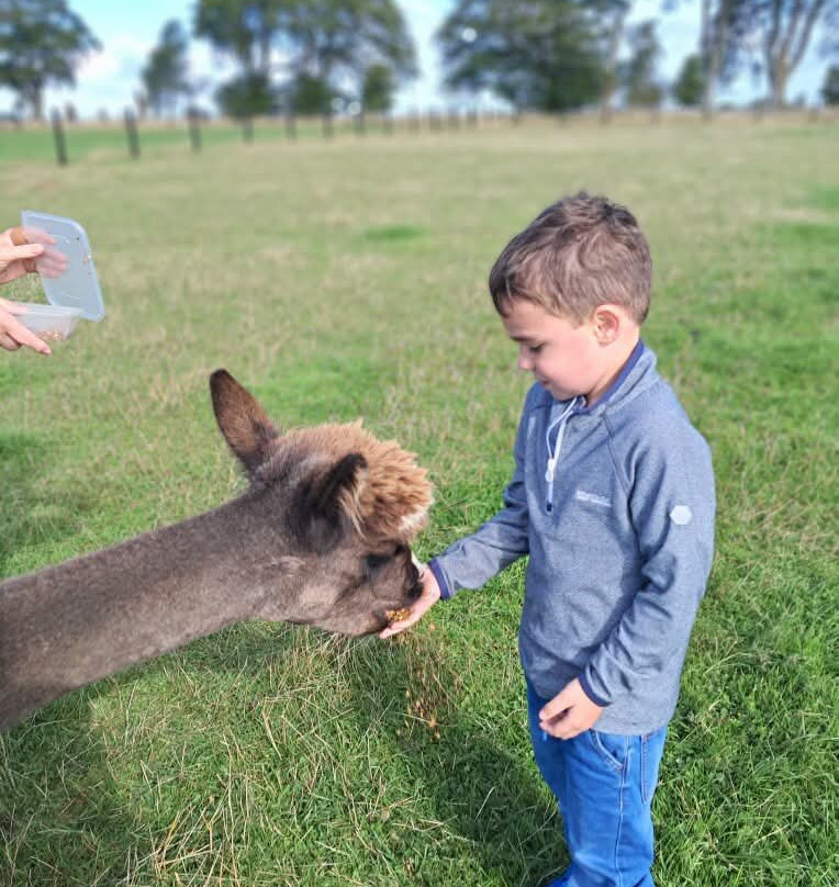 Bowbridge Alpacas Scotland-Peat Inn必去景点