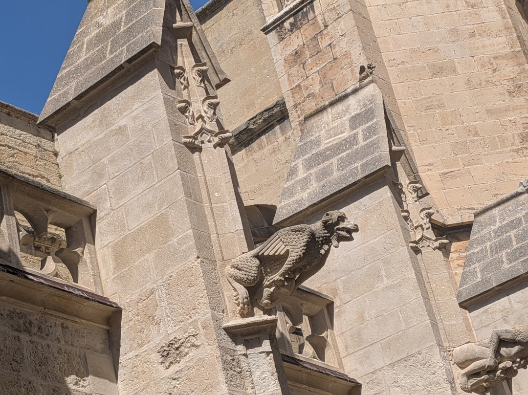 Cathédrale Saint-just Narbonne-纳博讷必去景点