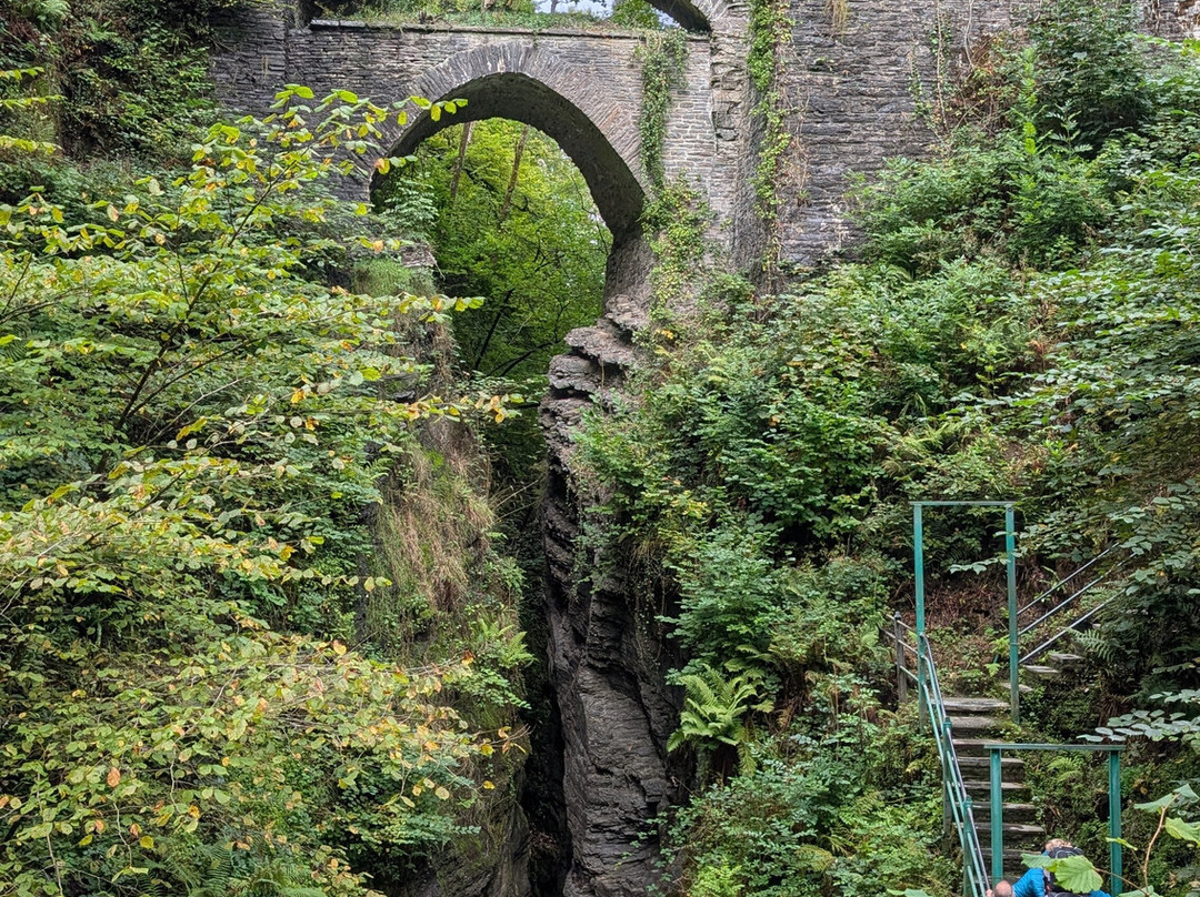 Vale of Rheidol Railway-阿伯里斯特威斯必去景点