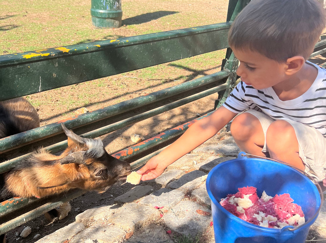 Quinta Pedagógica Quinta das Manas-吉马良斯必去景点