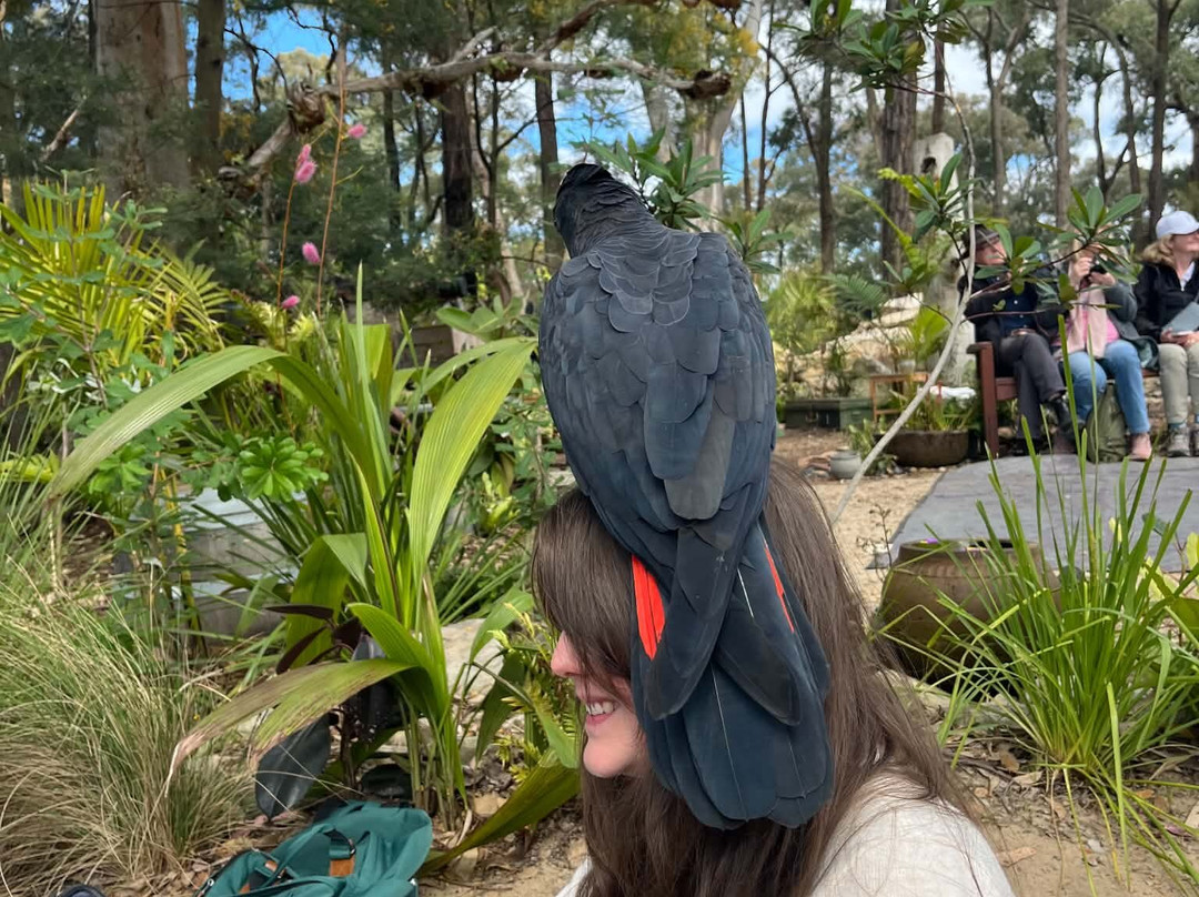 Feathered Friends-Orchard Hills必去景点