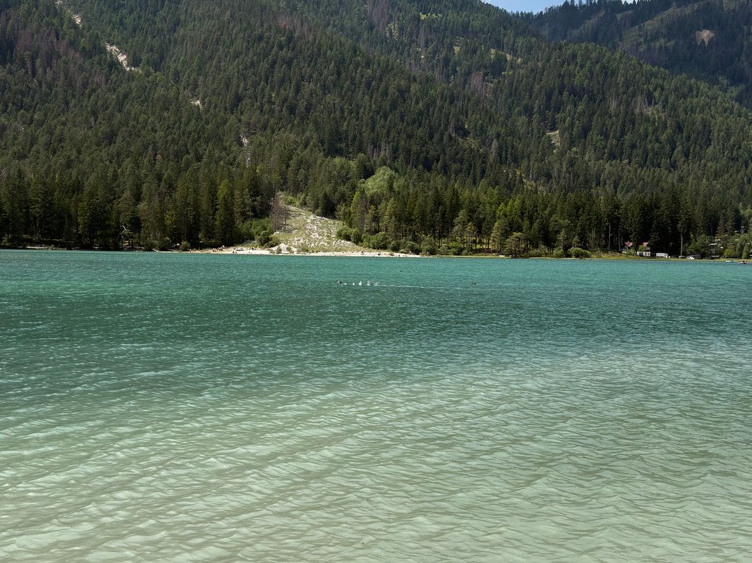 Lago di Dobbiaco-多比亚科必去景点