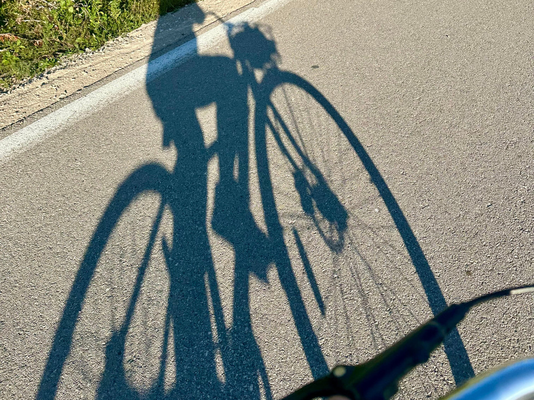 Discovery Bicycle Tours-伍德斯托克必去景点